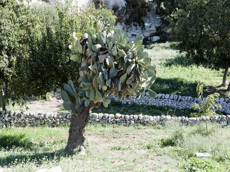 Valle Dell'Acanto Modica Eksteriør bilde
